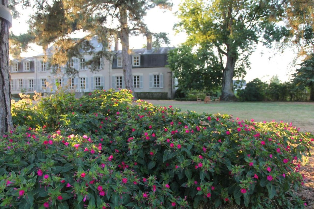 Colivault Bed & Breakfast Candé-sur-Beuvron Dış mekan fotoğraf