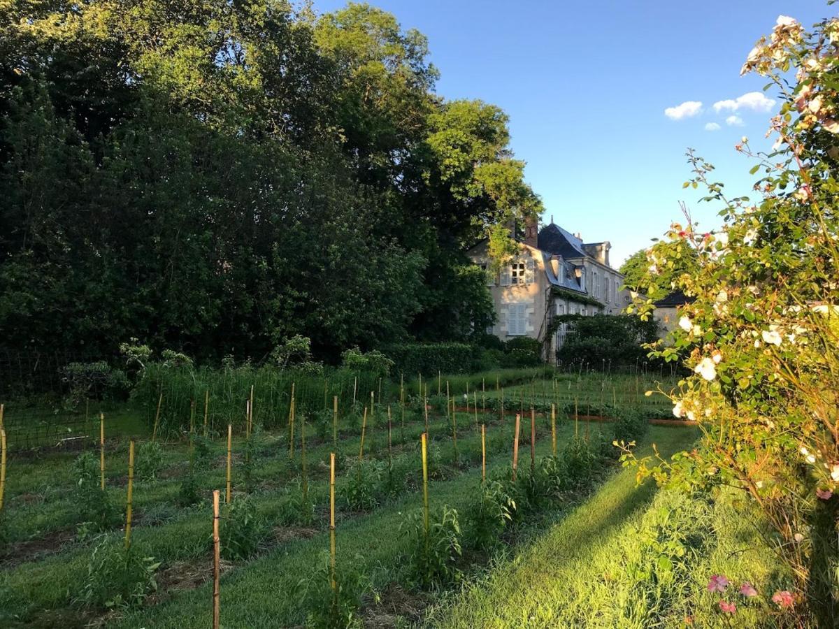 Colivault Bed & Breakfast Candé-sur-Beuvron Dış mekan fotoğraf